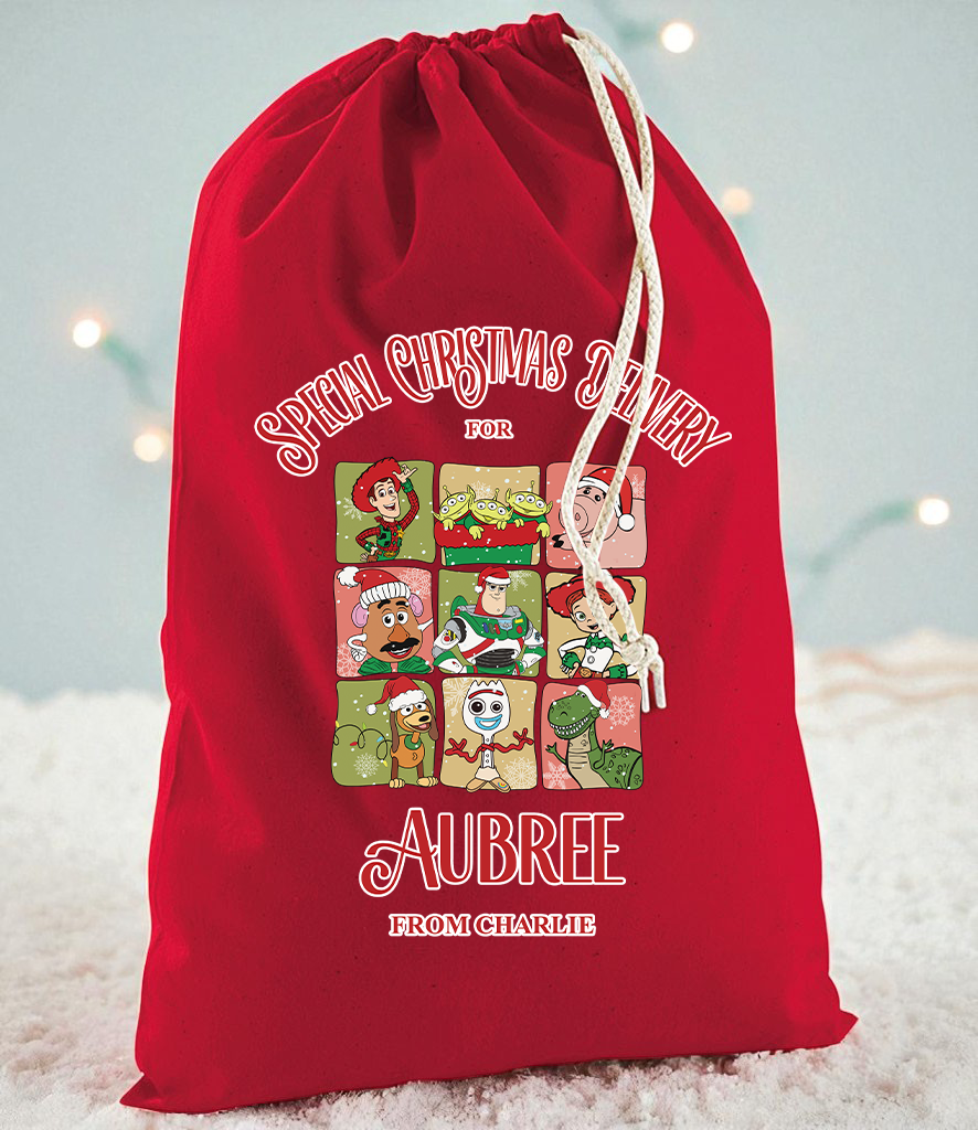 Special Delivery Toy Story Squares Christmas Sack