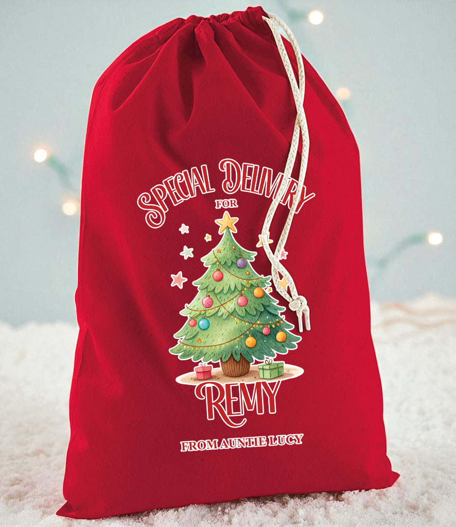 Special Delivery Christmas Tree Sack