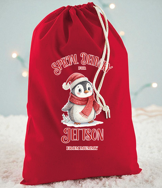 Special Christmas Delivery Penguin Christmas Sack