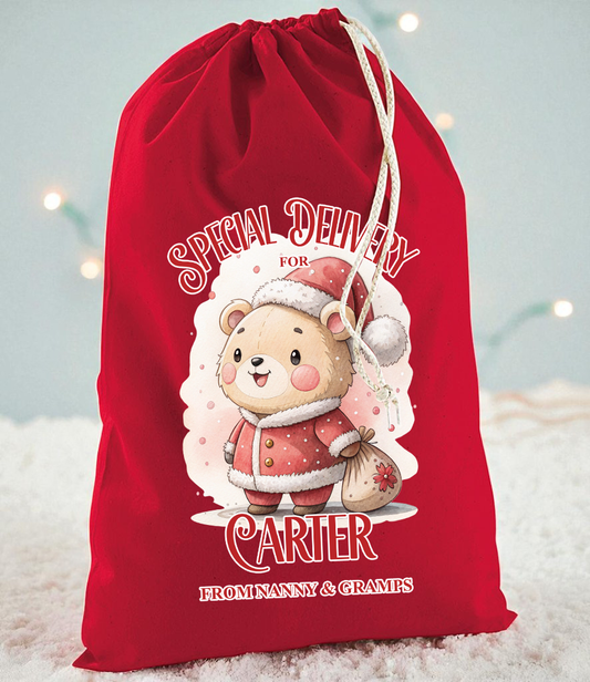 Special Delivery Santa Teddy Christmas Sack