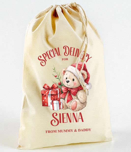 Special Delivery Teddy Christmas Sack